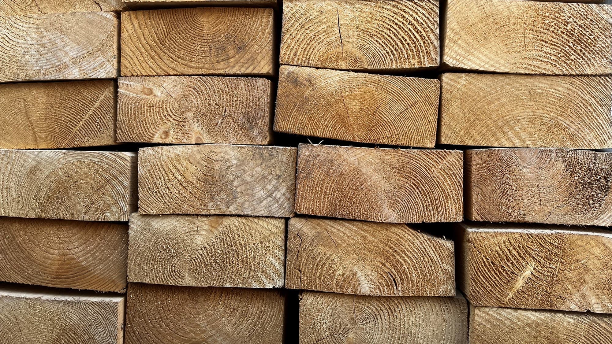 Timber being loaded for ISPM-15 heat treatment